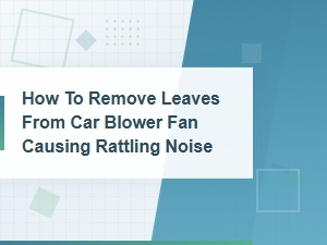 Removing Leaves From Your Car Blower Fan to Stop Rattling