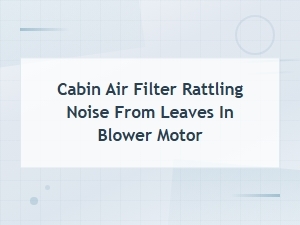 Cabin Air Filter Rattling Noise: Removing Leaves From Your Blower Motor