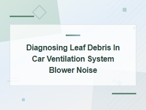 Leaf Debris in Car Ventilation Blower: Diagnosis and Cabin Air Filter Fix