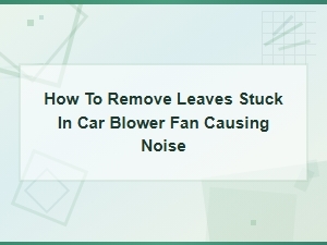 How to Remove Leaves Stuck in Your Car Blower Fan to Stop Noise