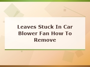How to Remove Leaves Stuck in Your Car Blower Fan and Fix Rattling Cabin Sounds