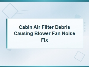 Cabin Air Filter Debris Causing Blower Fan Noise Fix
