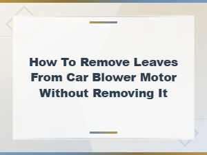 How to Remove Leaves From Your Car Blower Motor Without Removing It