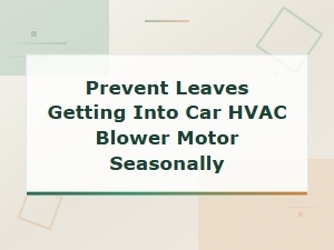 Prevent Leaves Getting Into Car Hvac Blower Motor Seasonally