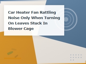How to Remove Leaves From Your Car Heater Blower Cage to Stop Rattling Noise