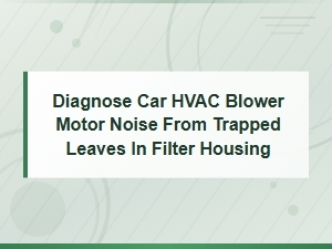 Car Hvac Blower Motor Noise: Remove Trapped Leaves From Cabin Filter Housing