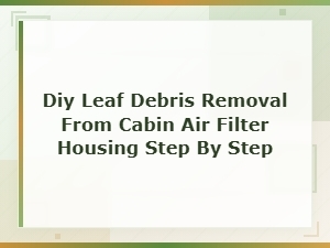 Diy Leaf Debris Removal From Cabin Air Filter Housing: Step-by-Step Guide